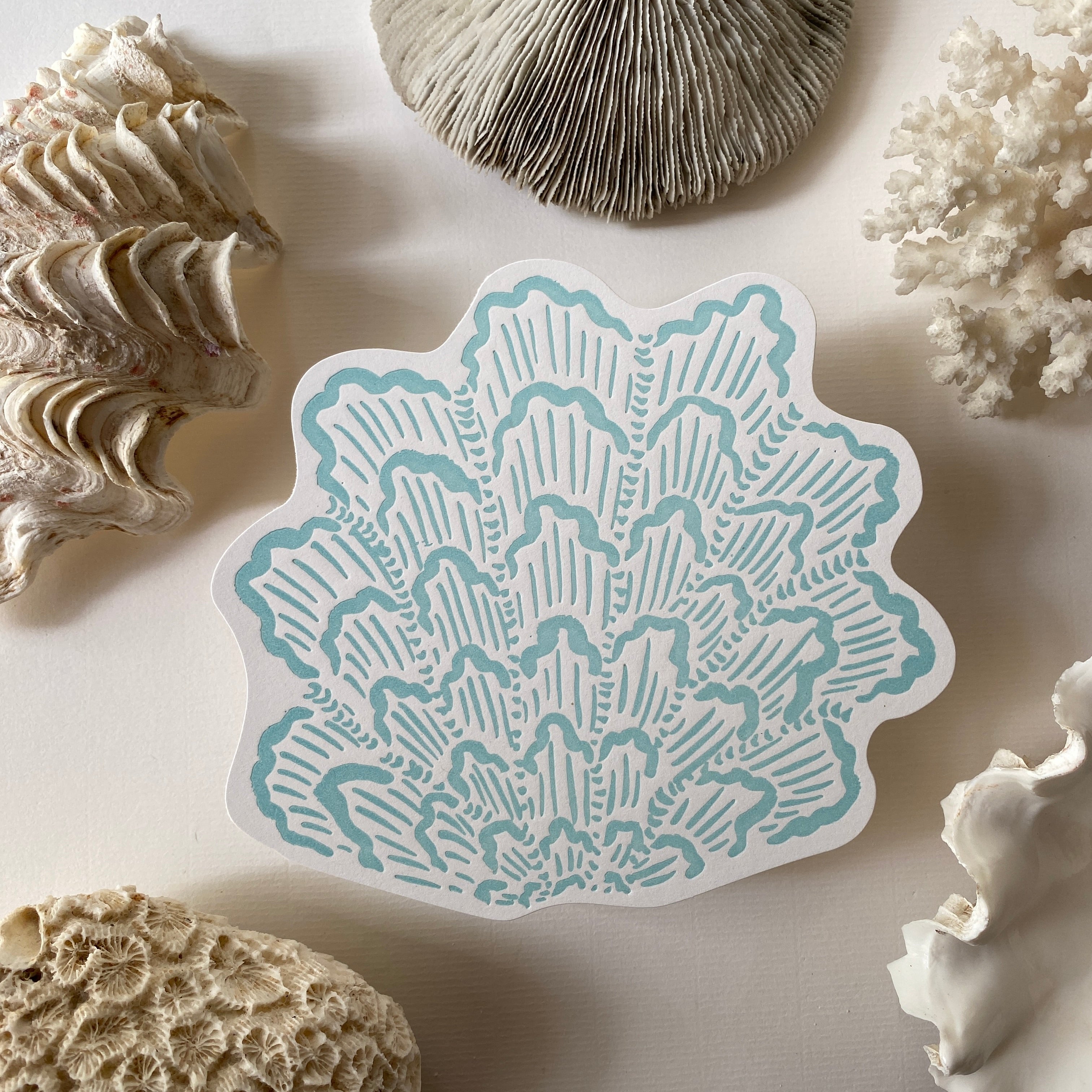 A5 shell postcards whole collection
