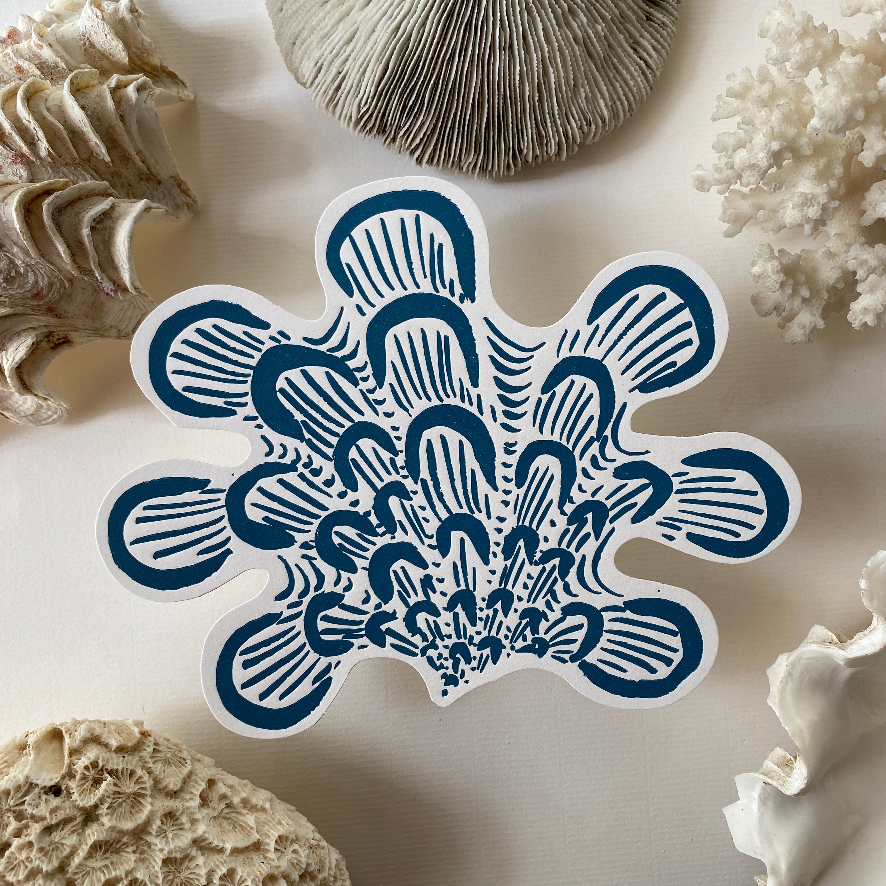 A5 shell postcards whole collection