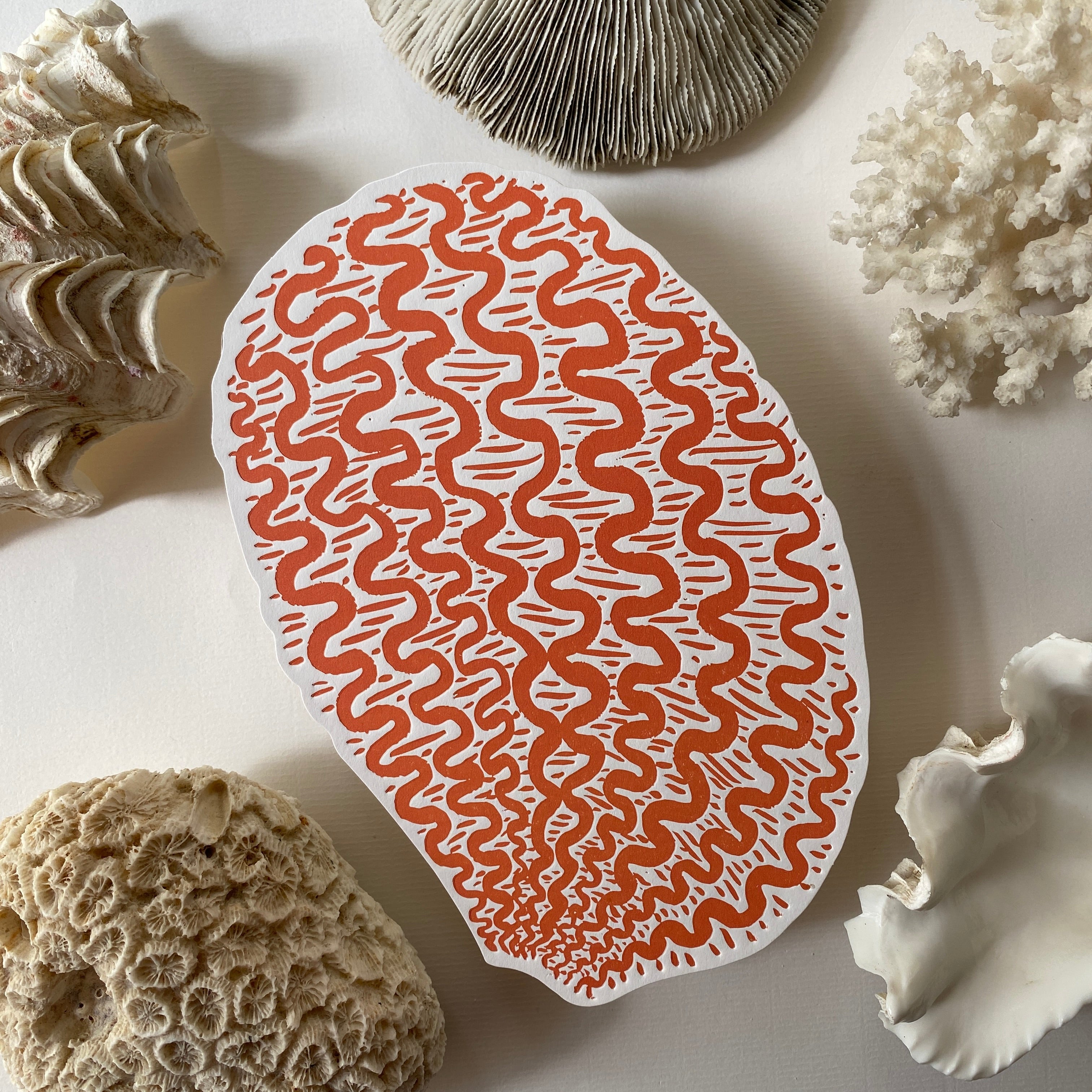 A5 shell postcards whole collection