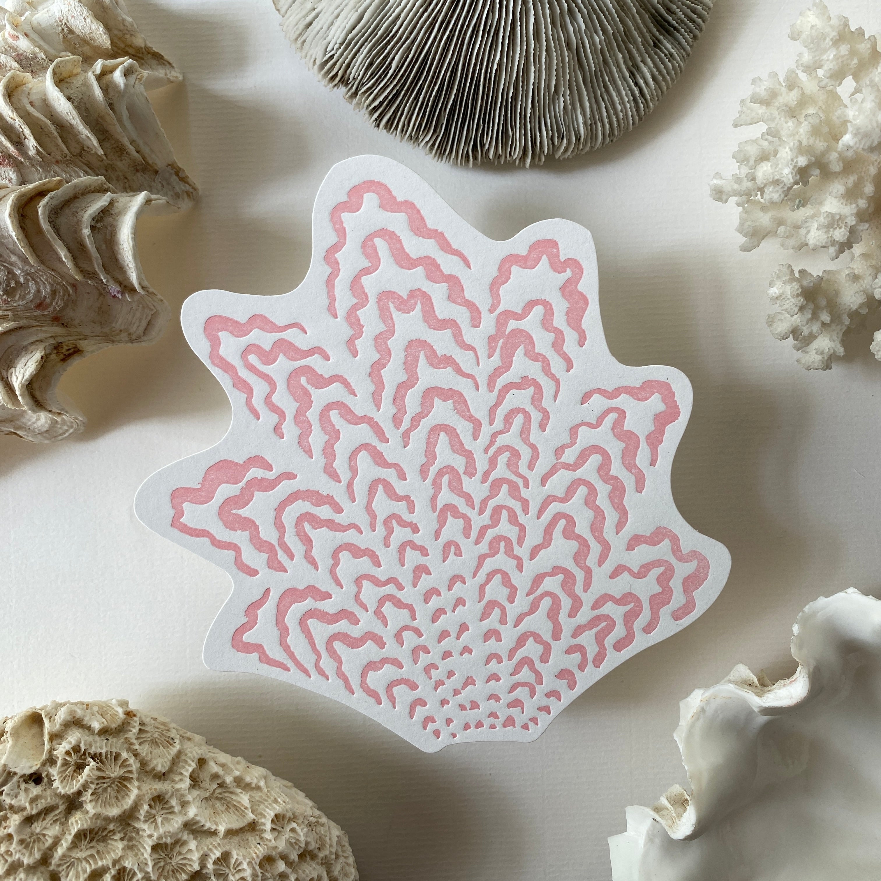 Coral A5 Postcard set of 5