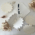 Pearl Clam Folding Card Pack of 3