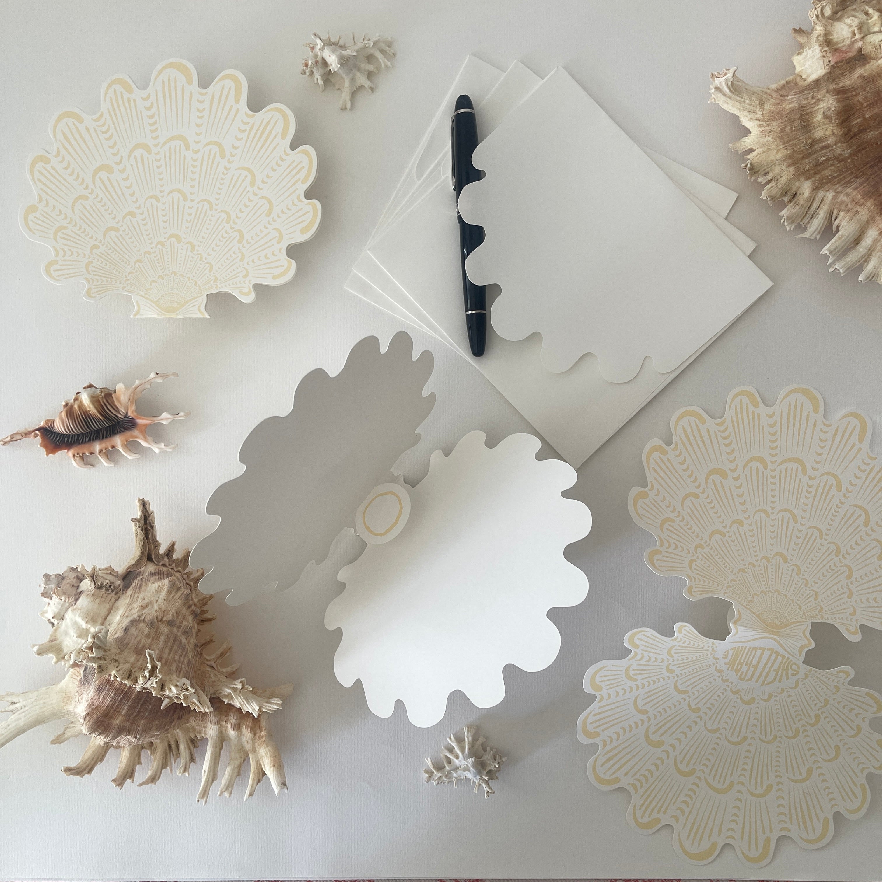 Pearl Clam Folding Card Pack of 3