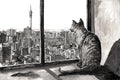 Hillbrow Pussy with a view