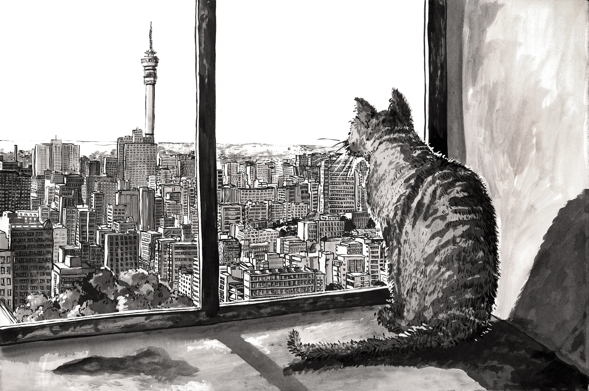 Hillbrow Pussy with a view
