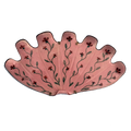 Lot_41_Michaela Younge