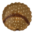 Lot_47_Philippine Laureau
