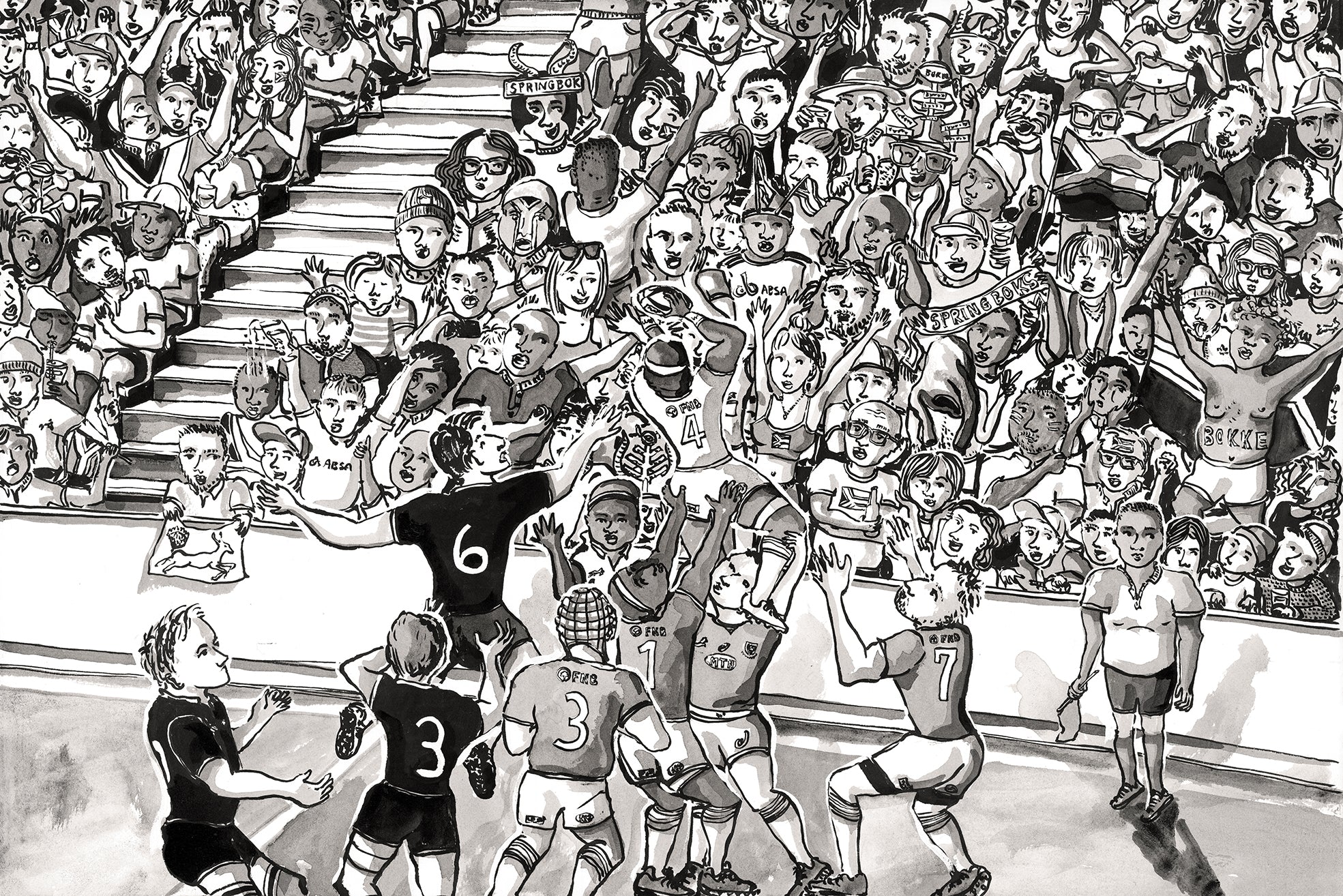 The Springboks