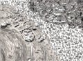 Clifton Beach People - Large